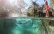 Samurai Beach Bungalows Port Stephens YHA - thumb 3