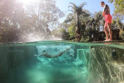 Samurai Beach Bungalows Port Stephens YHA - Accommodation NSW 3