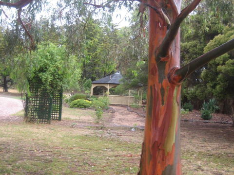 Golden Hills Motel - Accommodation NSW 6