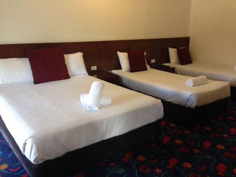 Newcastle Links Motel - Accommodation NSW 3
