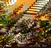 Pialba Motor Inn - Accommodation NSW