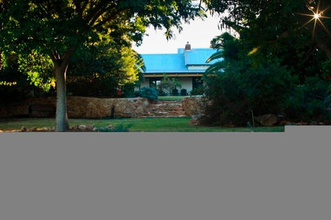 Bentwood Olive Grove Accommodation - Accommodation NSW 1