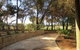 Bentwood Olive Grove Accommodation - thumb 3