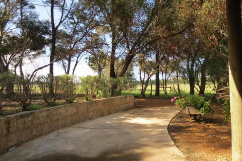 Bentwood Olive Grove Accommodation - Accommodation NSW 3