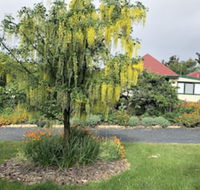 Hamlet Downs Country Accommodation - Accommodation NSW