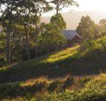 Bundle Hill Cottages - Accommodation NSW