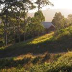 Bundle Hill Cottages - Accommodation NSW 0