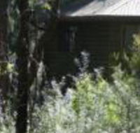 Twin Falls Bush Cottages - Accommodation NSW