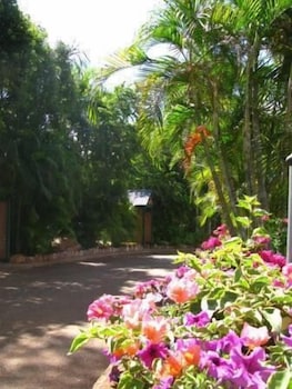 Ivanhoe Village Caravan Resort - Accommodation NSW 2