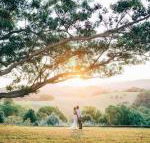 Cedia at Byron Bay Hinterland - Accommodation NSW