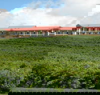 Turners Vineyard Motel and Function Centre - Accommodation NSW