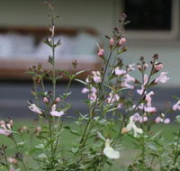 Serendipity on Allyn - Accommodation NSW