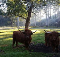 Dingley Dell - Accommodation NSW