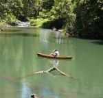 Figtree Getaway - Accommodation NSW