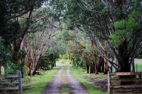 Galwiji Homestead - Accommodation NSW 7