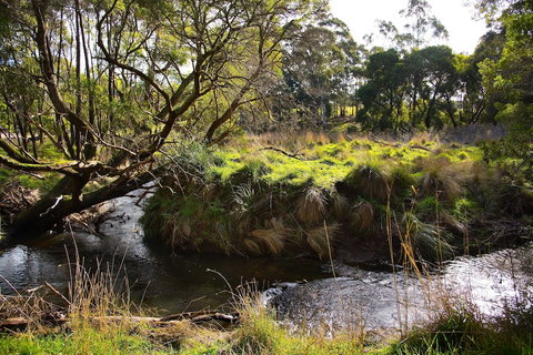 Green Gully House - Accommodation NSW 0