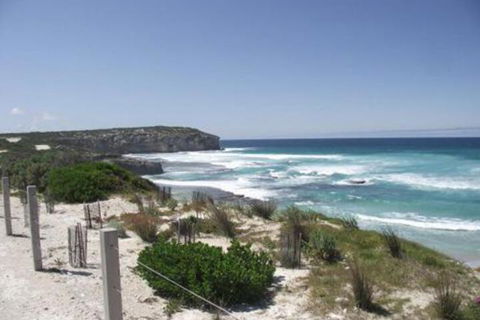 Cooinda Holiday Village - Accommodation NSW 4