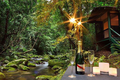 Misty Mountains Rainforest Retreat - Accommodation NSW 3