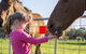 Freshwater Creek Cottages And Farm Stay - thumb 0