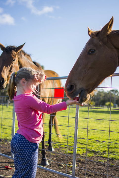 Freshwater Creek Cottages And Farm Stay - Accommodation NSW 0