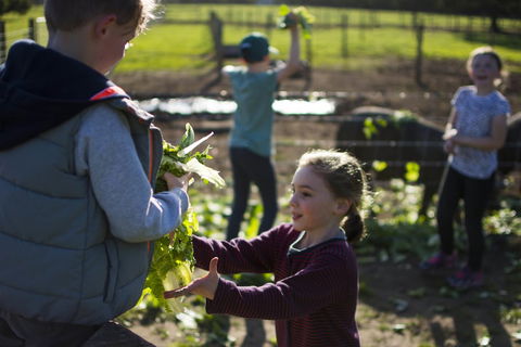 Freshwater Creek Cottages And Farm Stay - Accommodation NSW 3