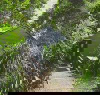 Montagues of Montville - Accommodation NSW