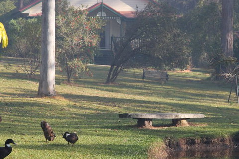 Telegraph Retreat Cottages - Accommodation NSW 6