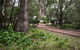 Inn The Tuarts Guest Lodge Busselton - thumb 2