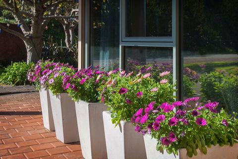 Bayshore Beachside Resort - Accommodation NSW 5