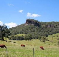 Rosevale House - Accommodation NSW