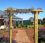 Lavendale Farmstay  Cottages York - Accommodation NSW