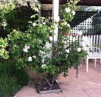 Ellesmere House - Accommodation NSW