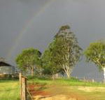 CBR Equine Cottage - Accommodation NSW