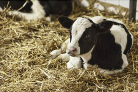 Seymour Motel - Accommodation NSW 7