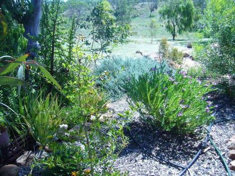 Old Miners Cottages Bed & Breakfast - Accommodation NSW 3