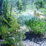 Yallabatharra WA Accommodation NSW