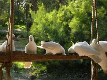 The Burrow At Wombat Bend - Accommodation NSW 0