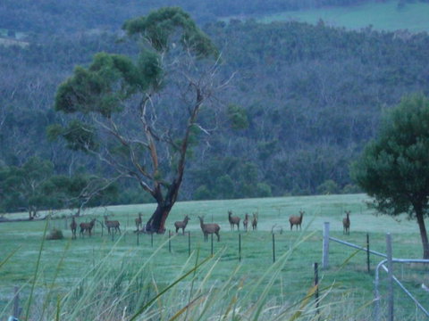 Hawksview At Mafeking - Accommodation NSW 3