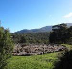 Hawksview at Mafeking - Accommodation NSW