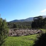 Hawksview At Mafeking - Accommodation NSW 0