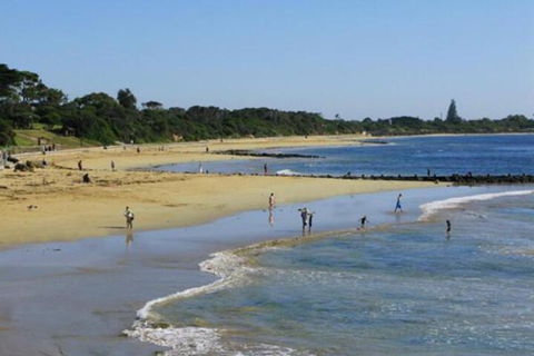 Roseneath Villa B & B - Accommodation NSW 5