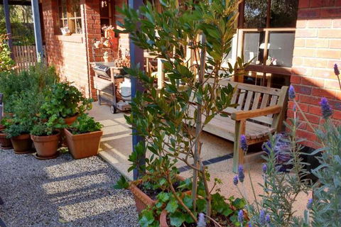 Roseneath Villa B & B - Accommodation NSW 2