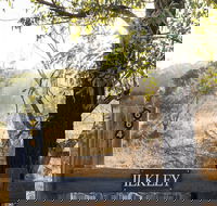 Ilkley Cottages - Accommodation NSW