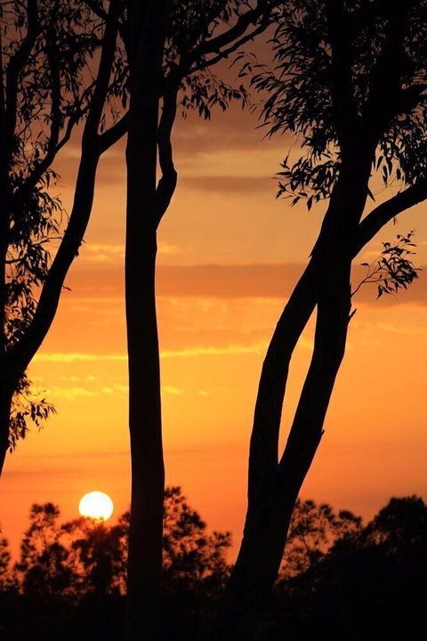 Bella Wind Bed & Breakfast - Accommodation NSW 3