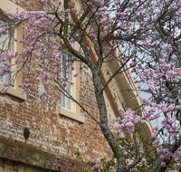 The Racecourse Inn - Accommodation NSW