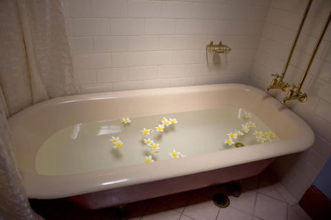 Maddies Of Bolwarra - Accommodation NSW 2