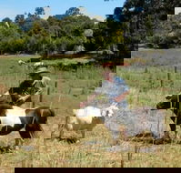 Country Cottages of Bridgetown - Accommodation NSW