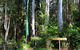 Yarralen Retreat - thumb 4