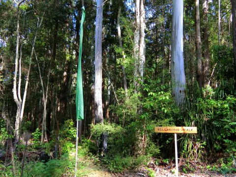 Yarralen Retreat - Accommodation NSW 4
