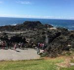 Sea Whispers - Accommodation NSW